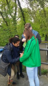 IMG-20170507-WA0029[1]